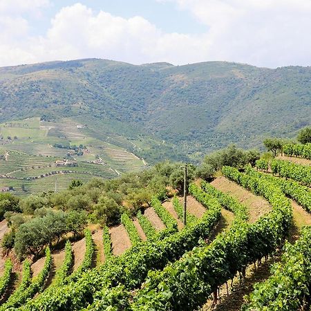 Quinta Do Monte Bravo - Douro - Quarto Duplo Villa Ervedosa do Douro Екстериор снимка