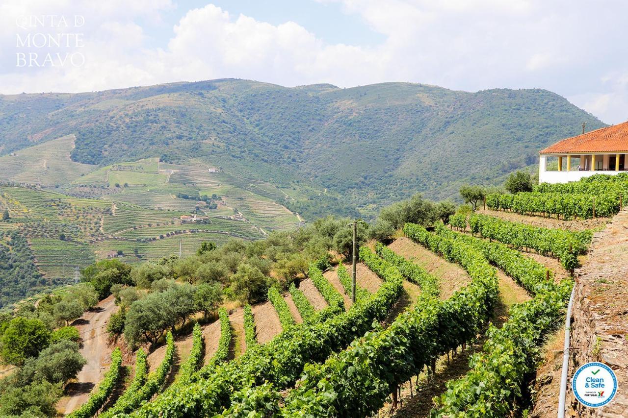 Quinta Do Monte Bravo - Douro - Quarto Duplo Villa Ervedosa do Douro Екстериор снимка