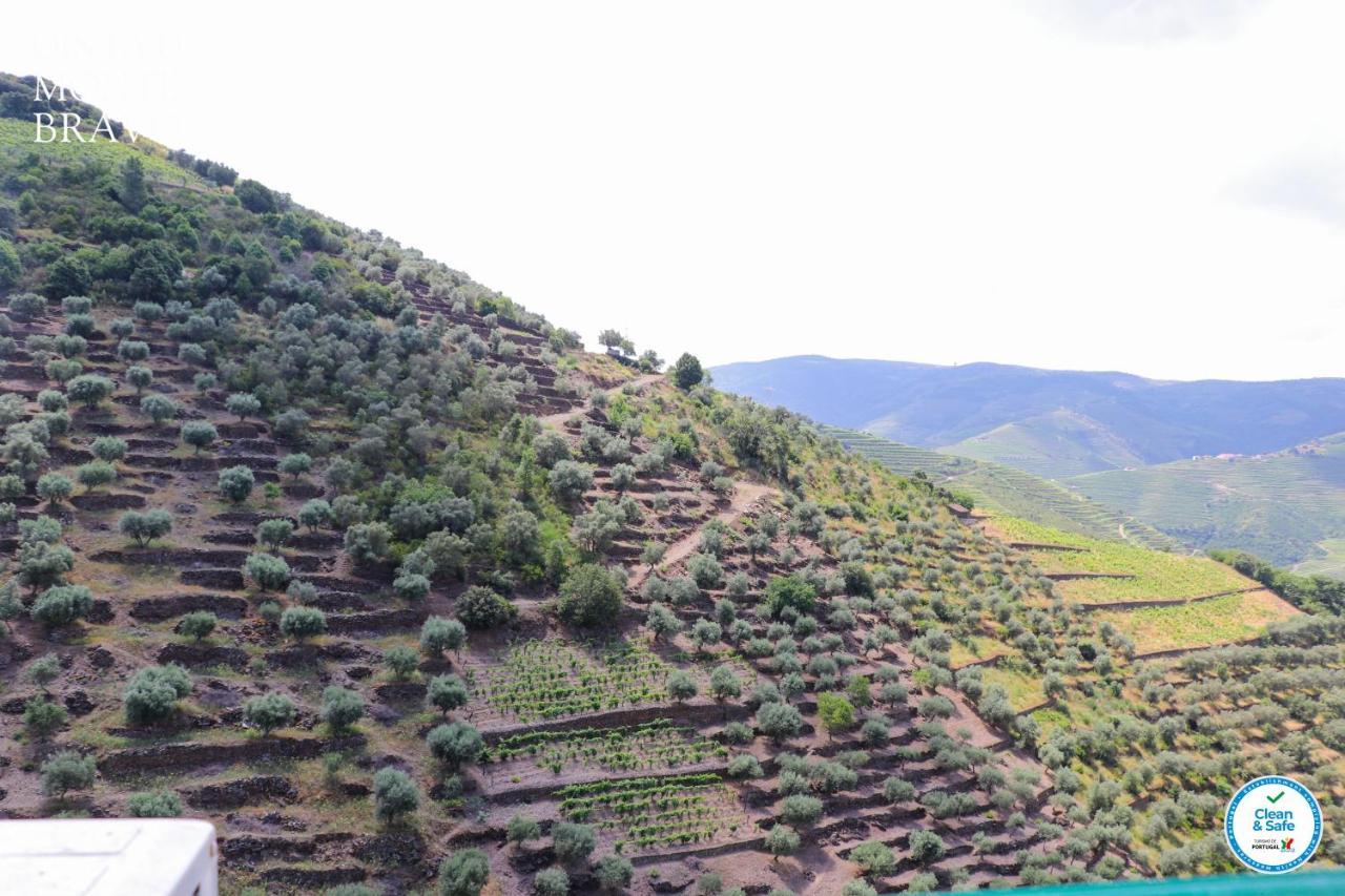 Quinta Do Monte Bravo - Douro - Quarto Duplo Villa Ervedosa do Douro Екстериор снимка