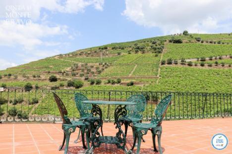 Quinta Do Monte Bravo - Douro - Quarto Duplo Villa Ervedosa do Douro Екстериор снимка